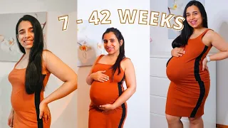 My Pregnancy Update Belly Shots | 7 to 42 Weeks Pregnancy Transformation | My Belly Progression