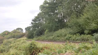 60163 Tornado NYMR 2021 Steam Gala