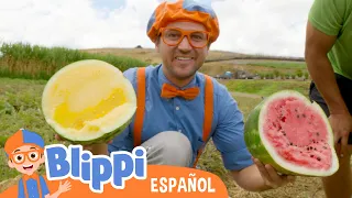 Blippi aprende sobre una alimentación saludable en la granja  | Videos de vehículos para niños