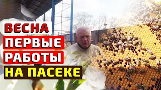 Первые весенние работы пчеловода на пасеке Слабые семьи весной