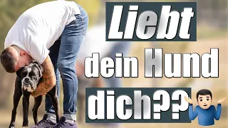 Liebt dein Hund dich wirklich?? Darauf solltest du ACHTEN!