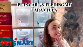 PETSMART VLOG & FEEDING MY TARANTULA!! | ItsAnnaLouise