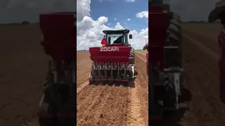 Zocapi - Garlic - Seeder - In Field