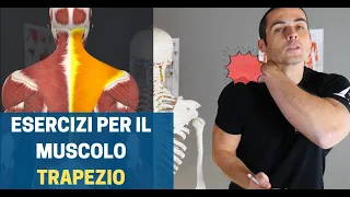 ESERCIZI per muscolo TRAPEZIO: come sciogliere il "cordone" a lato del collo