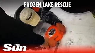 Hero dog helps rescue owner from ice covered Michigan lake