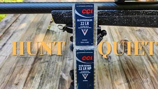 Quiet Hunting Ammo -- CCI Suppressor vs CCI Subsonic HP