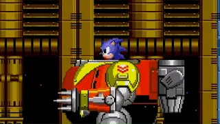 5 Reasons Why Robotnik HATES That Hedgehog!!