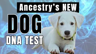 Ancestry Just Released a DOG DNA Test - Learn All About It (September 2023)