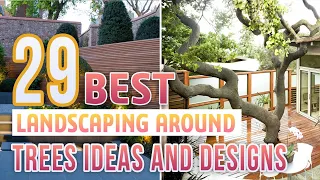 29 Best Landscaping Around Trees Ideas and Designs