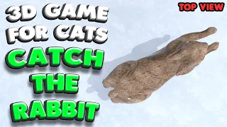 3D game for cats | CATCH THE RABBIT (top view) | 4K, 60 fps, stereo sound