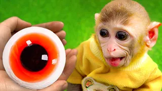 Monkey Bi Bon goes to toilet and harvest Jelly Eyeball with ducklings | maymun video