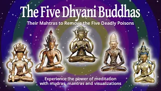 The Five Dhyani Buddhas and Their Mantras to Remove the Five Deadly Poisons