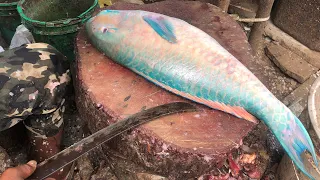 Beautiful PARROT Fish Cutting Skills 😱 😱🎣. |4k VIDEO |