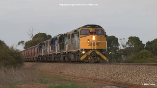 FIVE C's on Massive 101 wagon SSR Grain Train in South Australia