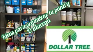 Ideas para organizar la alacena o pantry de tu cocina/ Dollar Tree. Tips