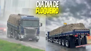DIA A DIA DE FLOGUEIRO #89⚡️-A CENA MAIS LOKA DE HOJE, FOI NA CHUVARADA!