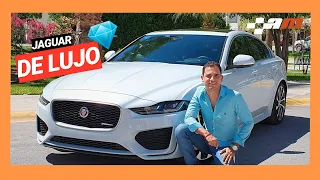 JAGUAR DE LUJO ESTILO BRITÁNICO 💎| JAGUAR XE 2020