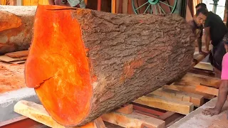 100 years old giant red wood cut into a powder weighing 40 tons//sawmill factory wood cutting skills