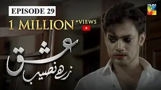 Ishq Zahe Naseeb Episode 29 HUM TV Drama 10 January 2020