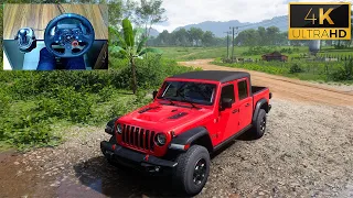 Jeep Gladiator Rubicon | Forza Horizon 5 | Offroad | Logitech g29 gameplay | Steering Wheel Gameplay