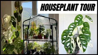 HOUSEPLANT TOUR: Monstera Army