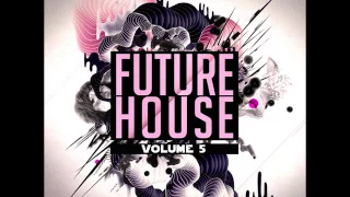 DeeJay Dan - Future House 5 [2016]