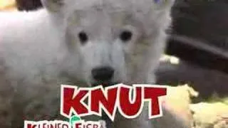 Knut Song