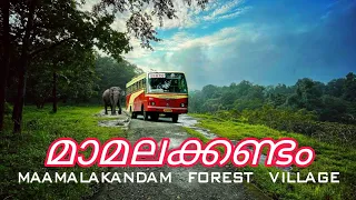 Mamalakandam | Beautiful Forest Village | കൊടും വനത്തിലൂടെ ഒരു യാത്ര | Vintage Reel #explore #vlog