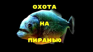 OST Охота на пиранью  музыка к фильму