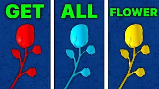 All Flower Locations to get Race V2 - Blox Fruits | 2024!