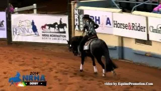 Holier Then Thou ridden by Camela Essick - 2014 NRHA Derby(Non Pro Derby 1st Go)