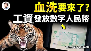 猛虎下山，工資全額發放數字人民幣！又一輪「血洗」將至？（文昭談古論今20230424第1242期）