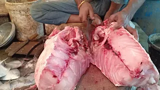 Excellent Technique Giant Grouper Fish Cutting Skills By Expert Fish Cutter