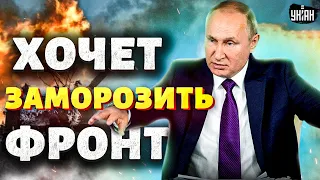 Путин предложил срочно заморозить фронт. ВСУ в ответ рванули вперед | Цимбалюк и Коваленко