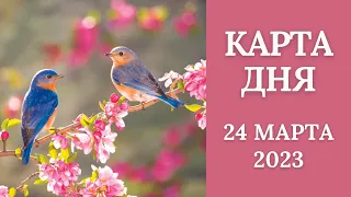 24 марта🌷Карта дня. Развернутый Таро-Гороскоп/Tarot Horoscope+Lenormand today от Ирины Захарченко.