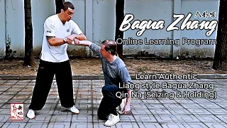 Kung Fu Joint Locking - Bagua Zhang's Qin Na Methods