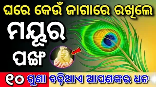 ମୟୂର ପଂଖ ଏହି ଜାଗା ରେ ରାକ୍ଷୀ ଦିଅନ୍ତୁ, କୋଟିପତି | sadhu bani | jitu das sadhubani | ajira anuchinta