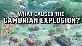 What Caused The Cambrian Explosion, and What Came Before?