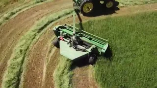 Wheat Hay 2020