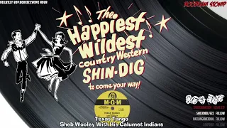 Blue Moon Round-Up ~Hillbilly Bop,Western Swing~