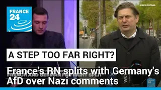 A step too far right? France's RN splits with AfD over SS comments • FRANCE 24 English