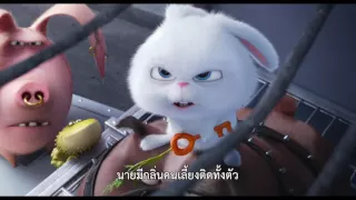 The Secret Life of Pets | Film Clip 3 | Thai sub