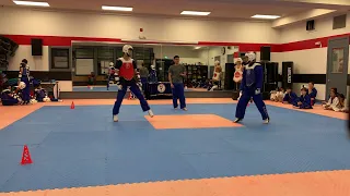 Taekwondo Sparring Session