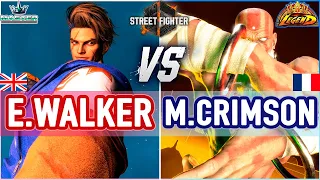 SF6 🔥 Ending Walker (Luke) vs Mister Crimson (Dhalsim/Blanka) 🔥 SF6 High Level Gameplay