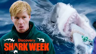 Robert Irwin Tests a Shark’s Biting Power | Shark Week
