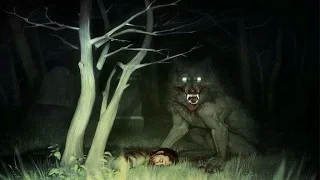 7 Infamous Cases of real Life Werewolves