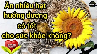 Sức khỏe: Ăn nhiều hạt hướng dương có tốt cho sức khỏe không? NTN SL