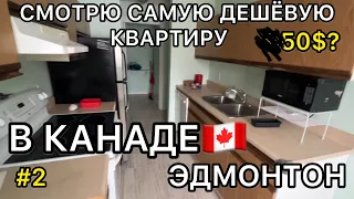 АРЕНДА В КАНАДЕ🇨🇦|ПОИСК ЖИЛЬЯ|КВАРТИРА В ЭДМОНТОНЕ |АЛЬБЕРТА#канада #україна #эдмонтон