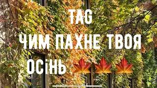 TAG: Чим пахне твоя осінь? 🍁🍁🍁 від @vitaliygrin7363