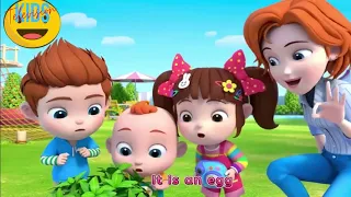 Butterfly Life Cycle Song - Kids Songs & Nursery Rhymes l Kids Television